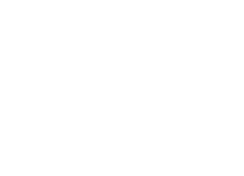 Caballos lentos